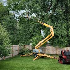 Best Lawn Pest Prevention  in Jackson, MS