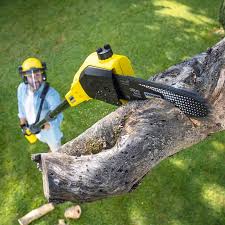 Best Lawn Fertilization  in Jackson, MS