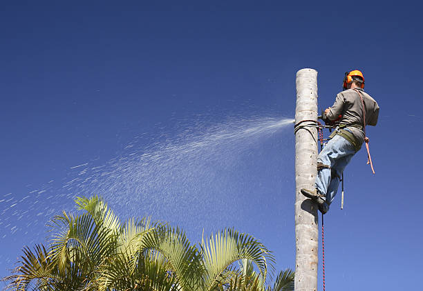 Best Soil Testing and Treatment  in Jackson, MS